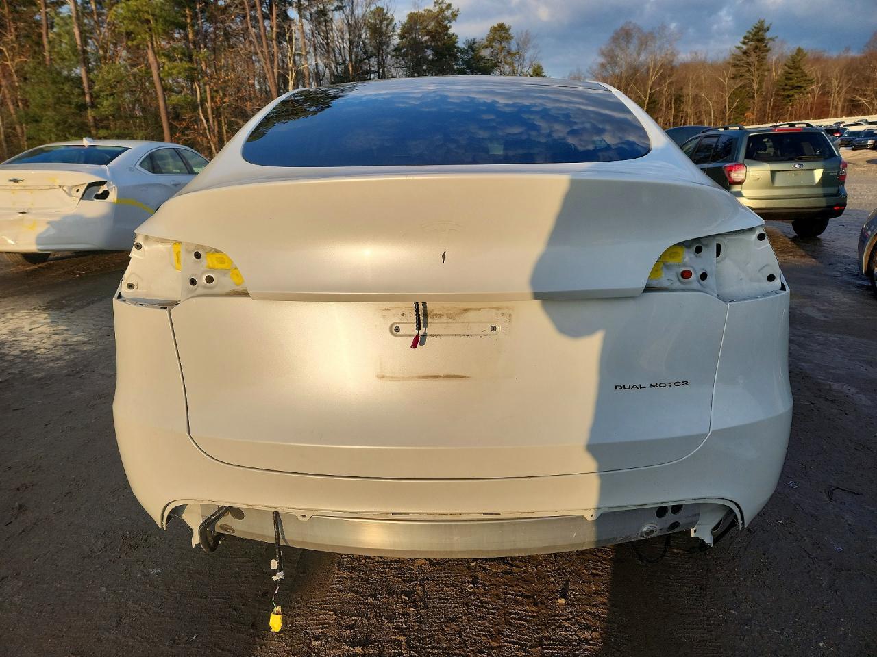 2023 Tesla Model Y - Image 6