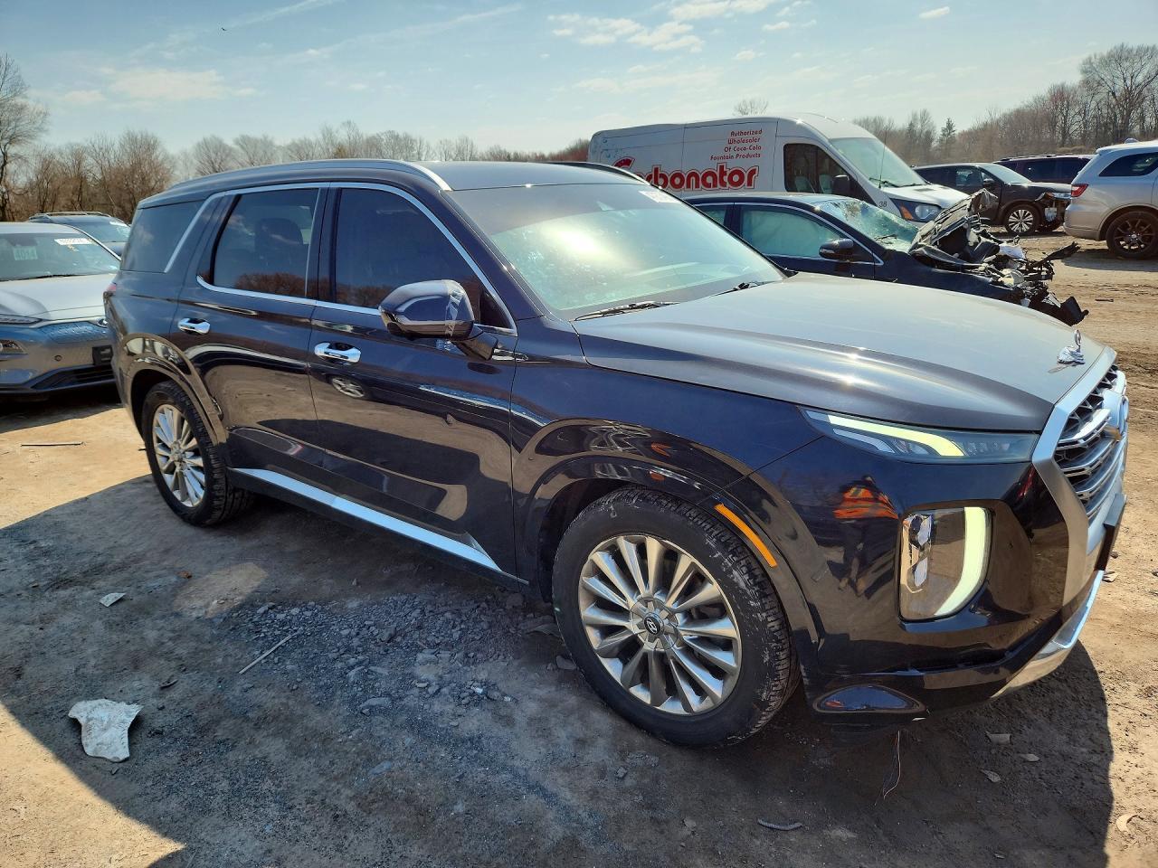 2020 Hyundai Palisade Limited - Фото 4