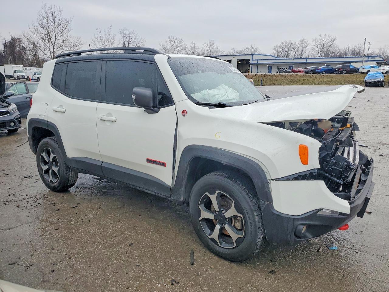 2020 Jeep Renegade Trailhawk - Фото 4