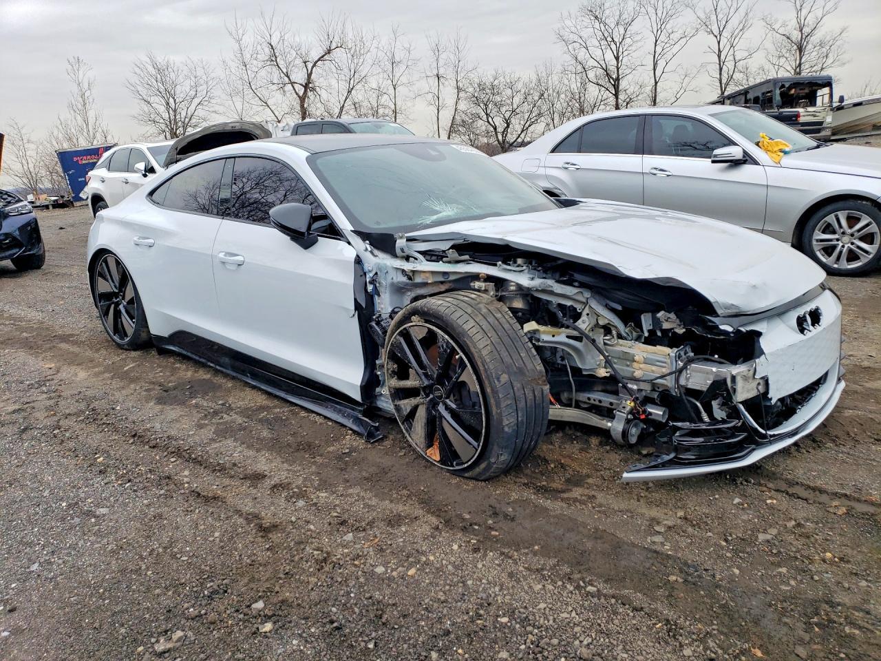 2024 Audi E-Tron Gt Prestige - Фото 4