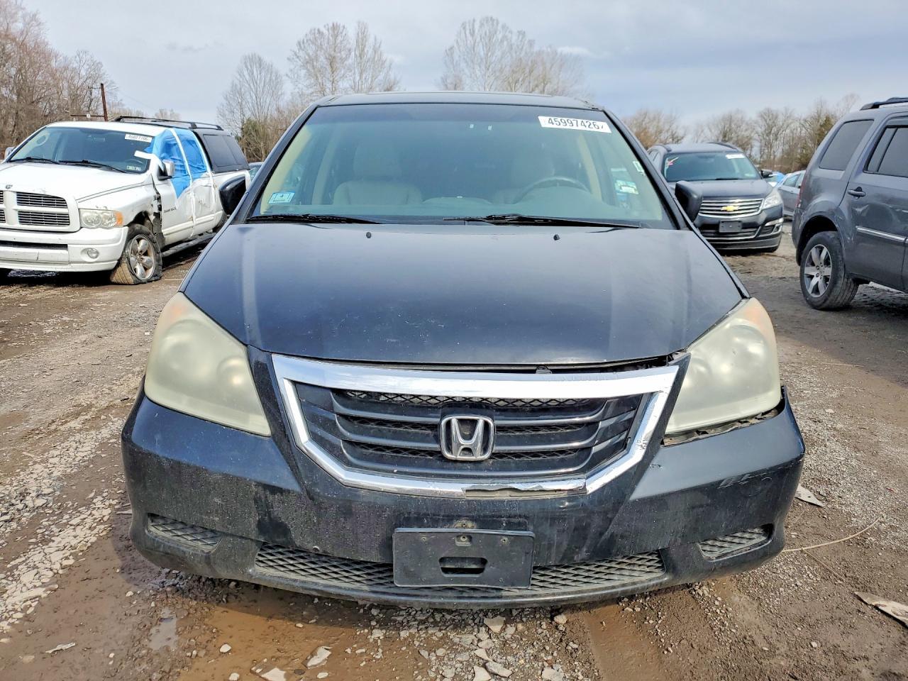 2009 Honda Odyssey Exl - Image 5