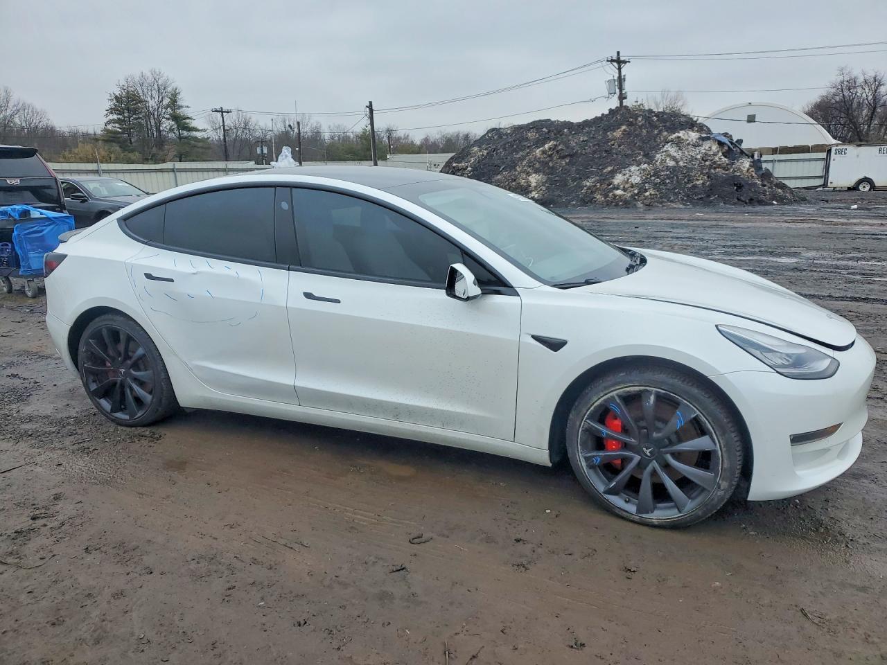 2020 Tesla Model 3 - Фото 4