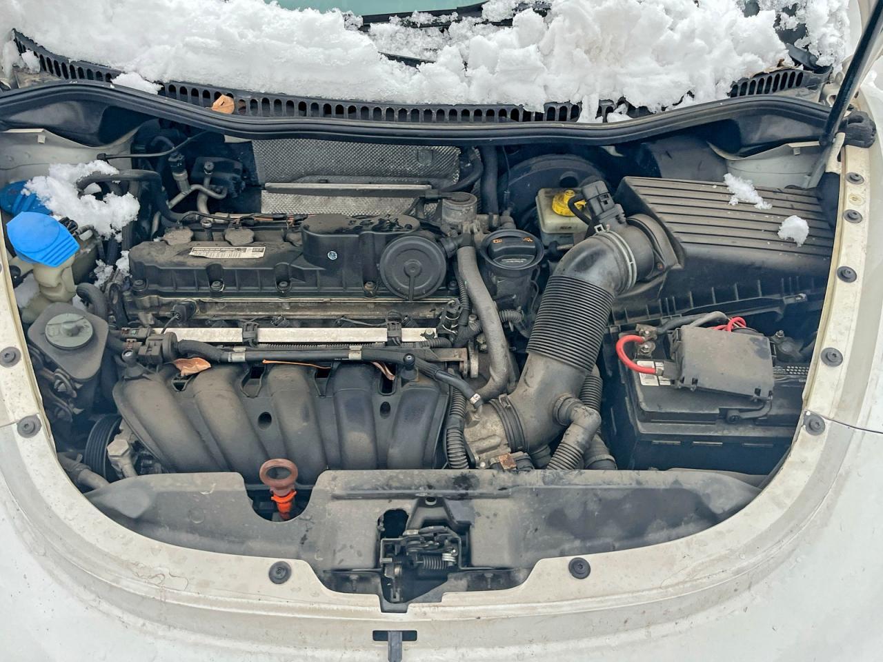 2010 Volkswagen New Beetle - Фото 7