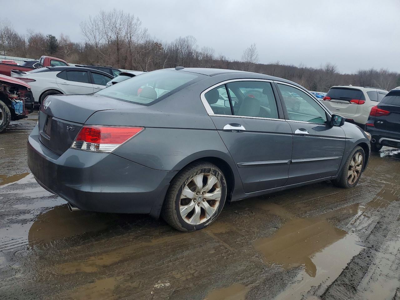 2008 Honda Accord Exl - Image 3