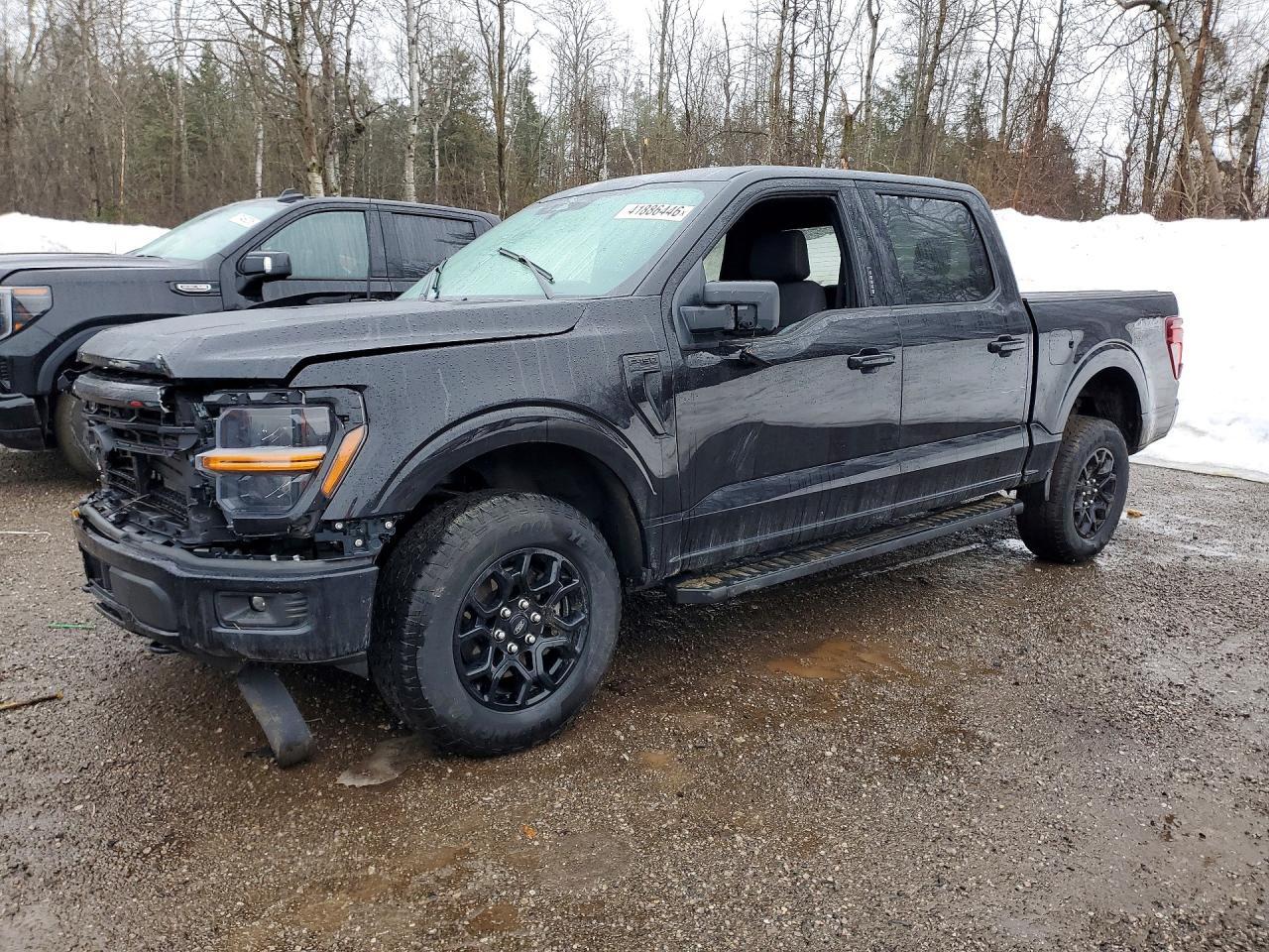 2024 Ford F150 Xlt