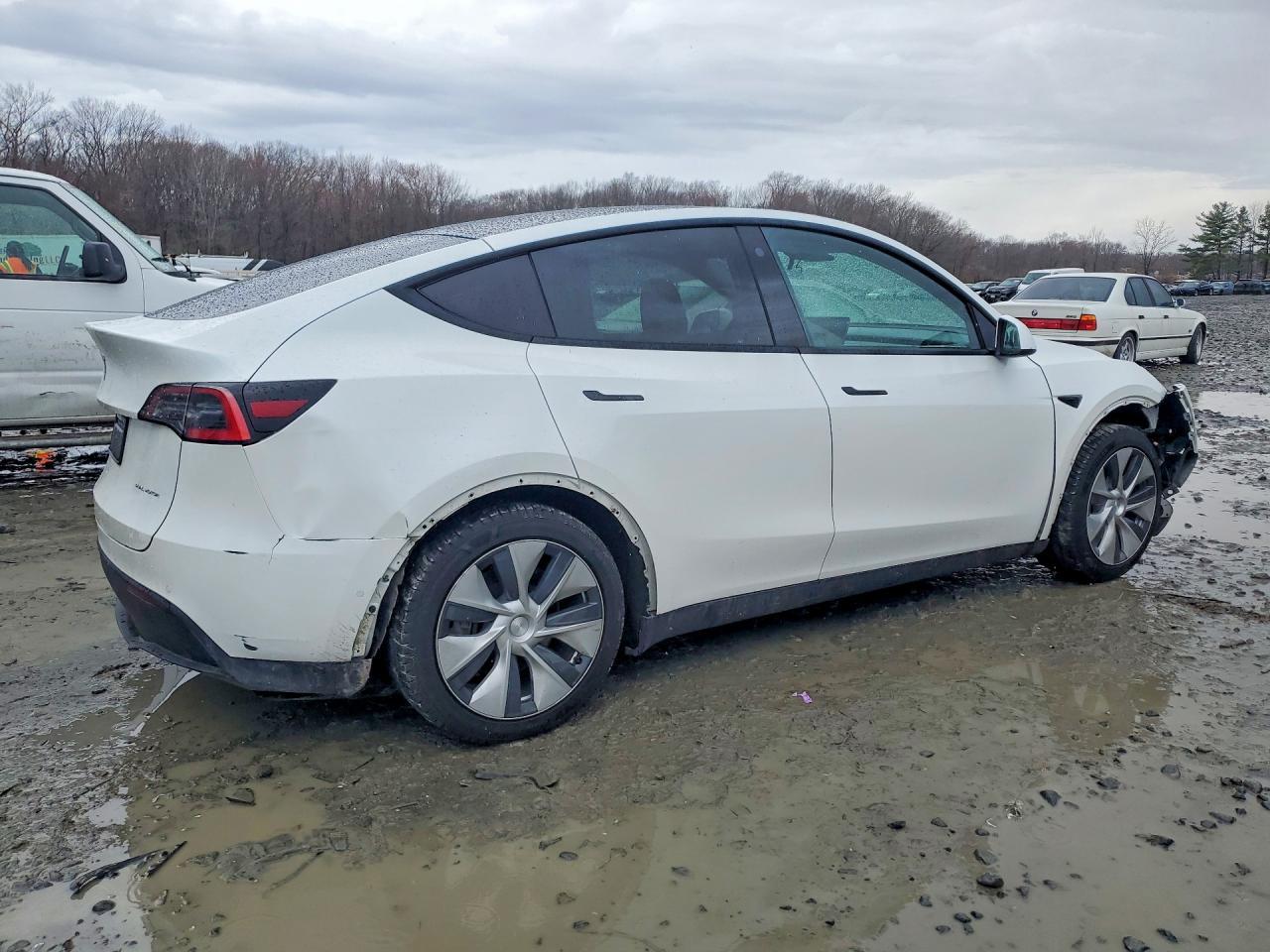 2021 Tesla Model Y - Фото 3