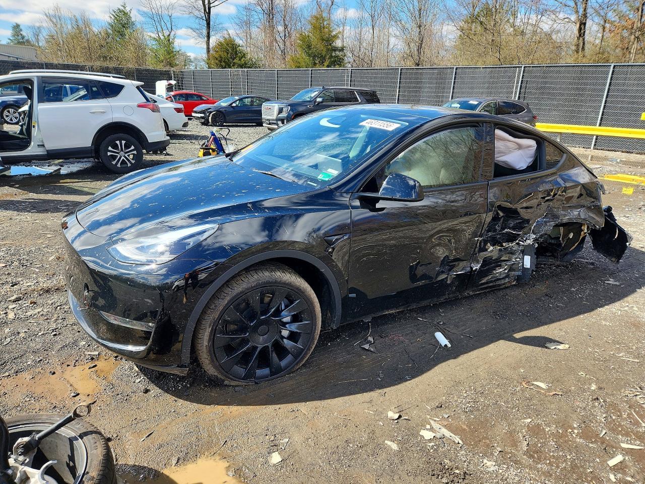 2024 Tesla Model Y