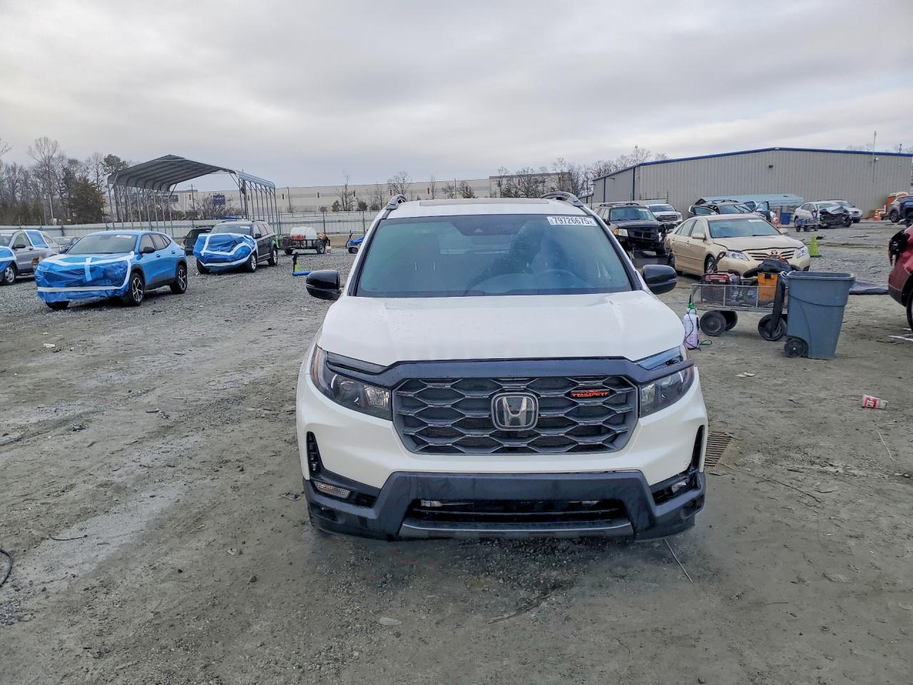 2025 Honda Passport Trail Sport - Фото 5