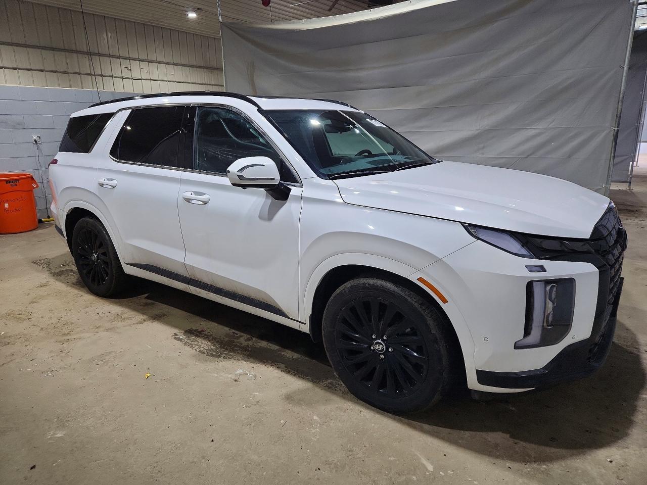 2025 Hyundai Palisade - Фото 4