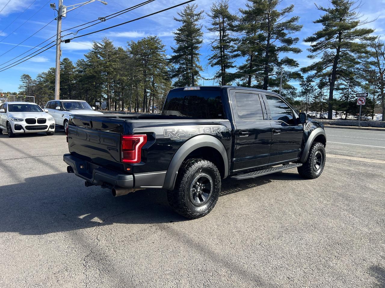 2017 Ford F150 Raptor - Image 4