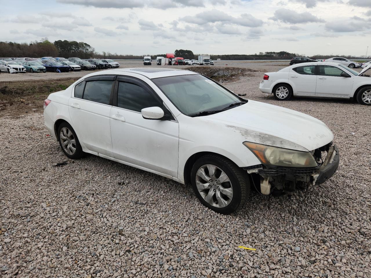 2008 Honda Accord Exl - Image 4