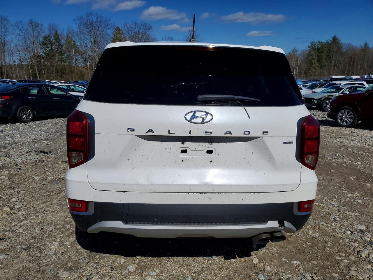 2021 Hyundai Palisade Se - Фото 6