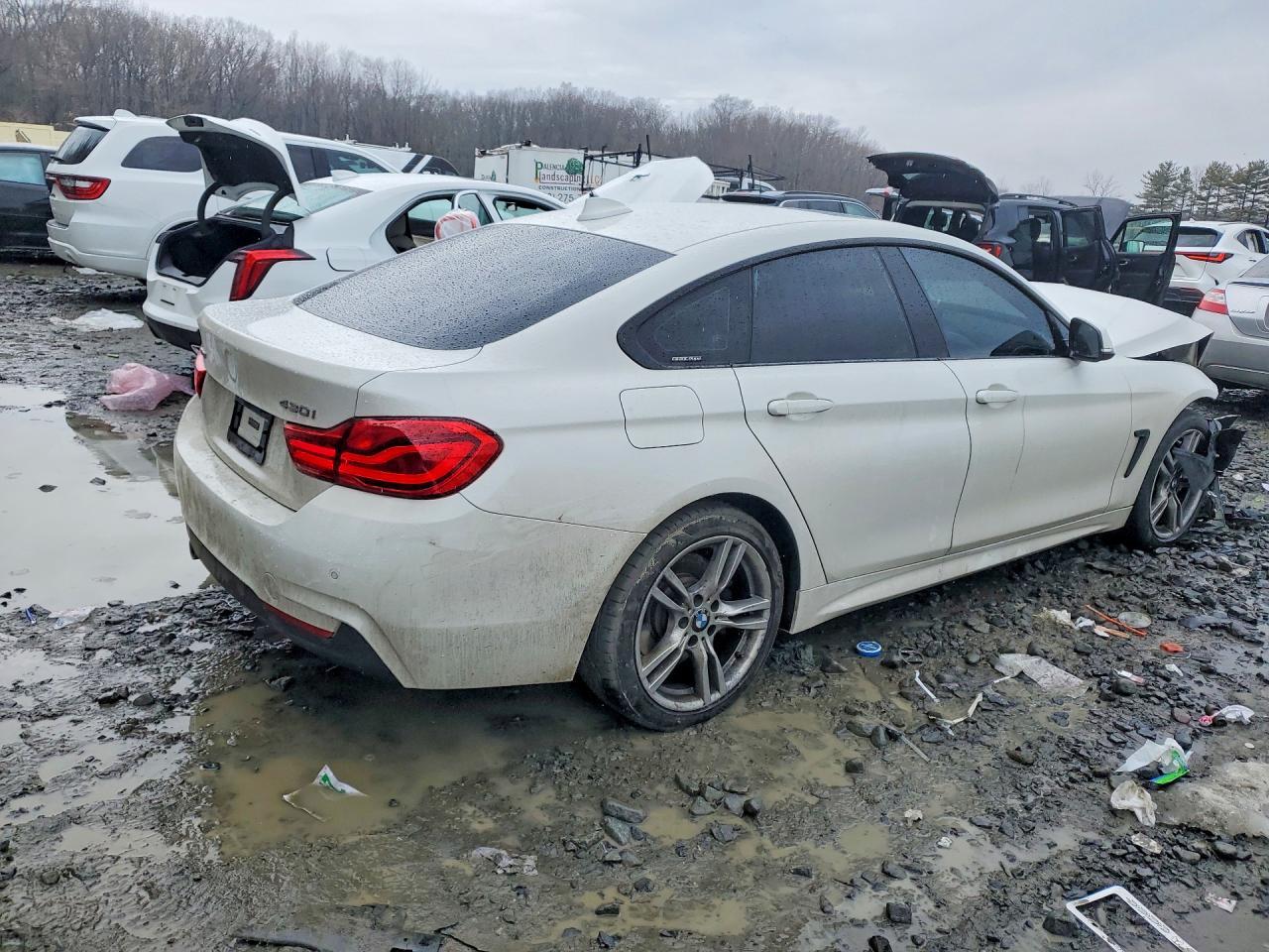 2018 BMW 430Xi Gran Coupe - Фото 3
