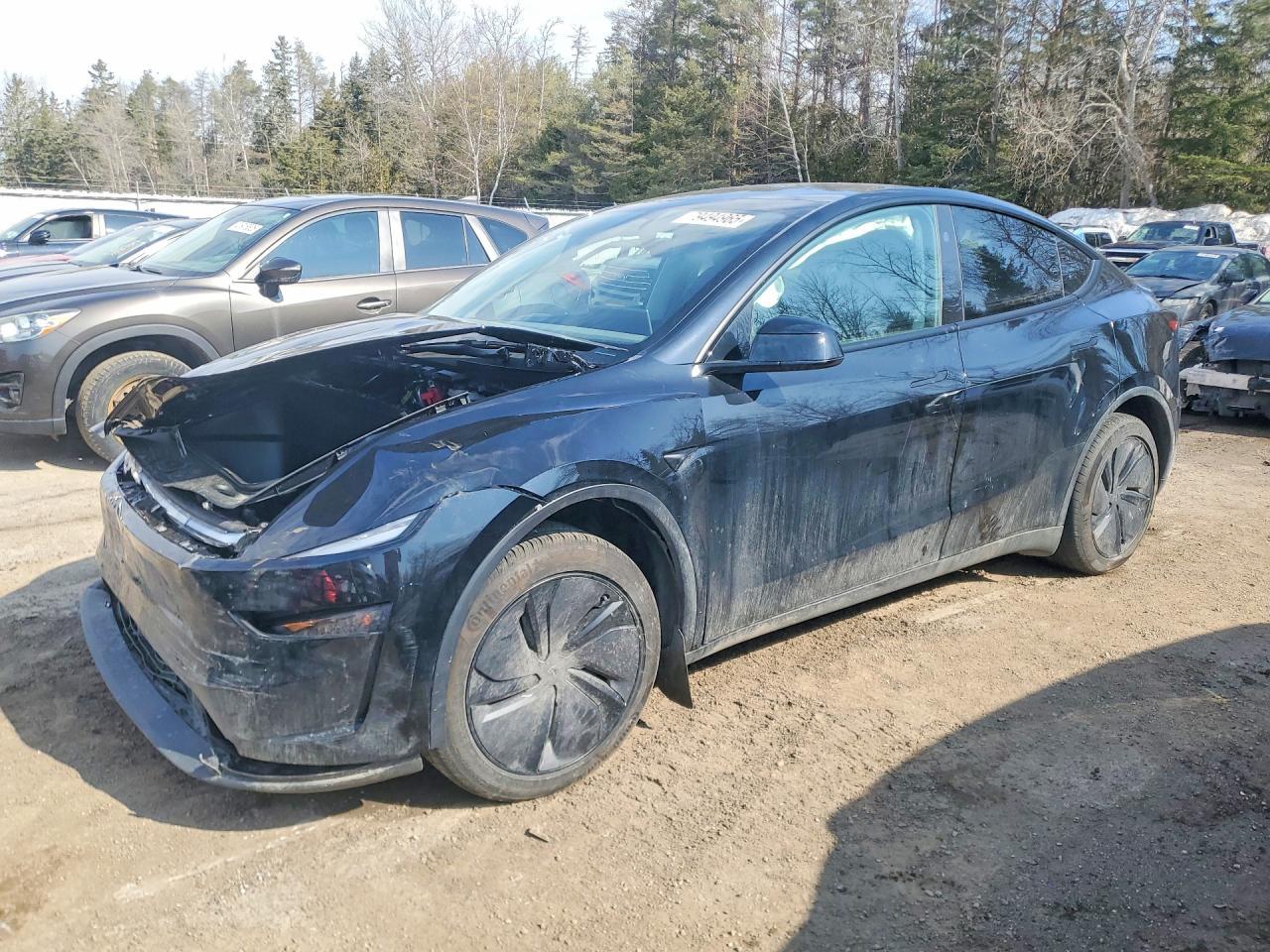 2026 Tesla Model Y