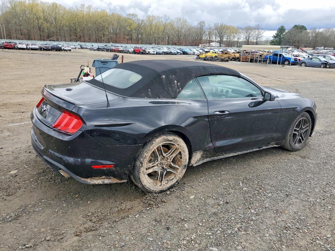 2019 Ford Mustang - Фото 3