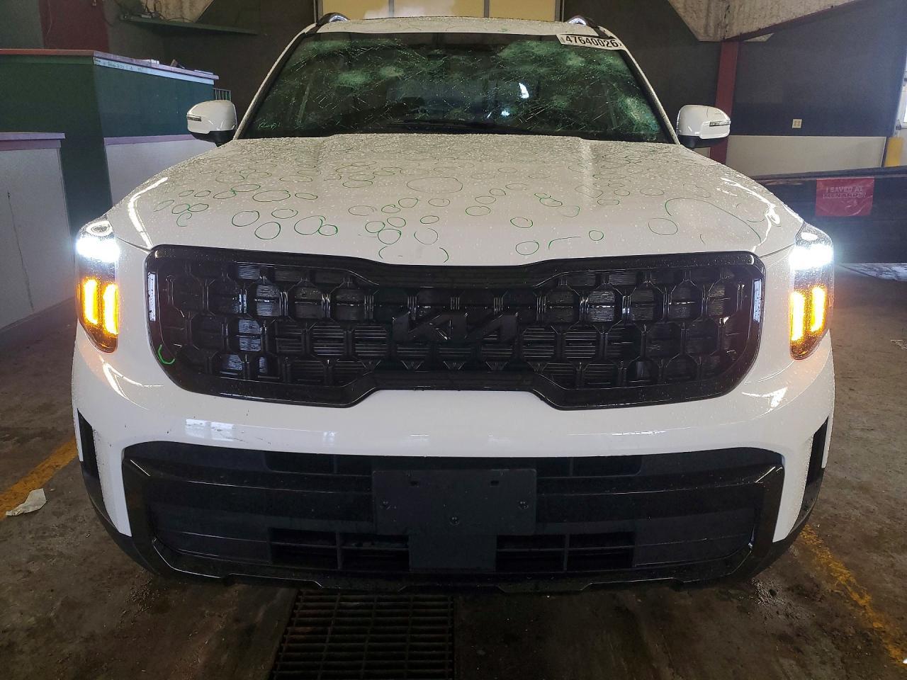 2025 Kia Telluride Ex X-Line - Image 5