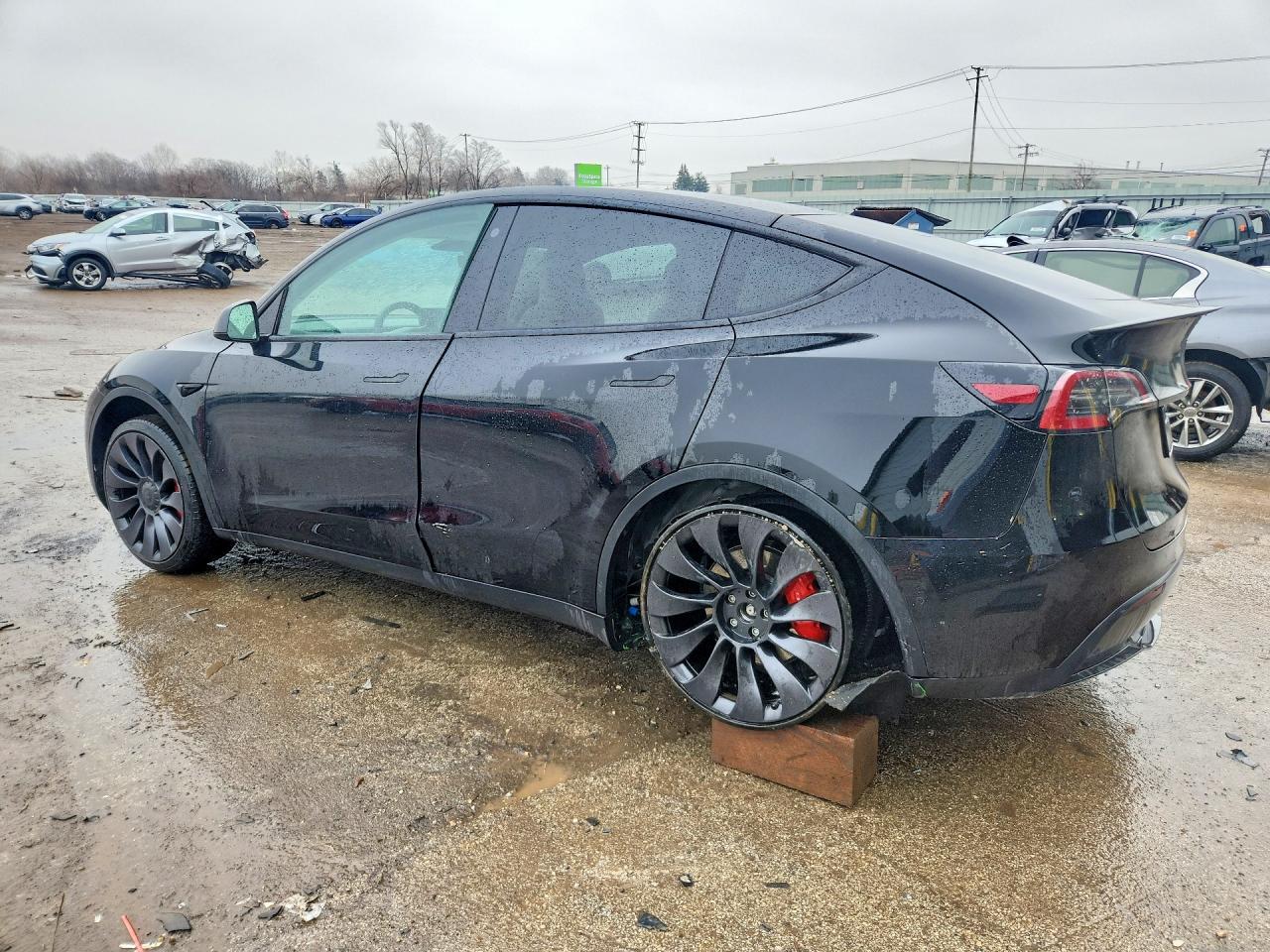2021 Tesla Model Y - Фото 2