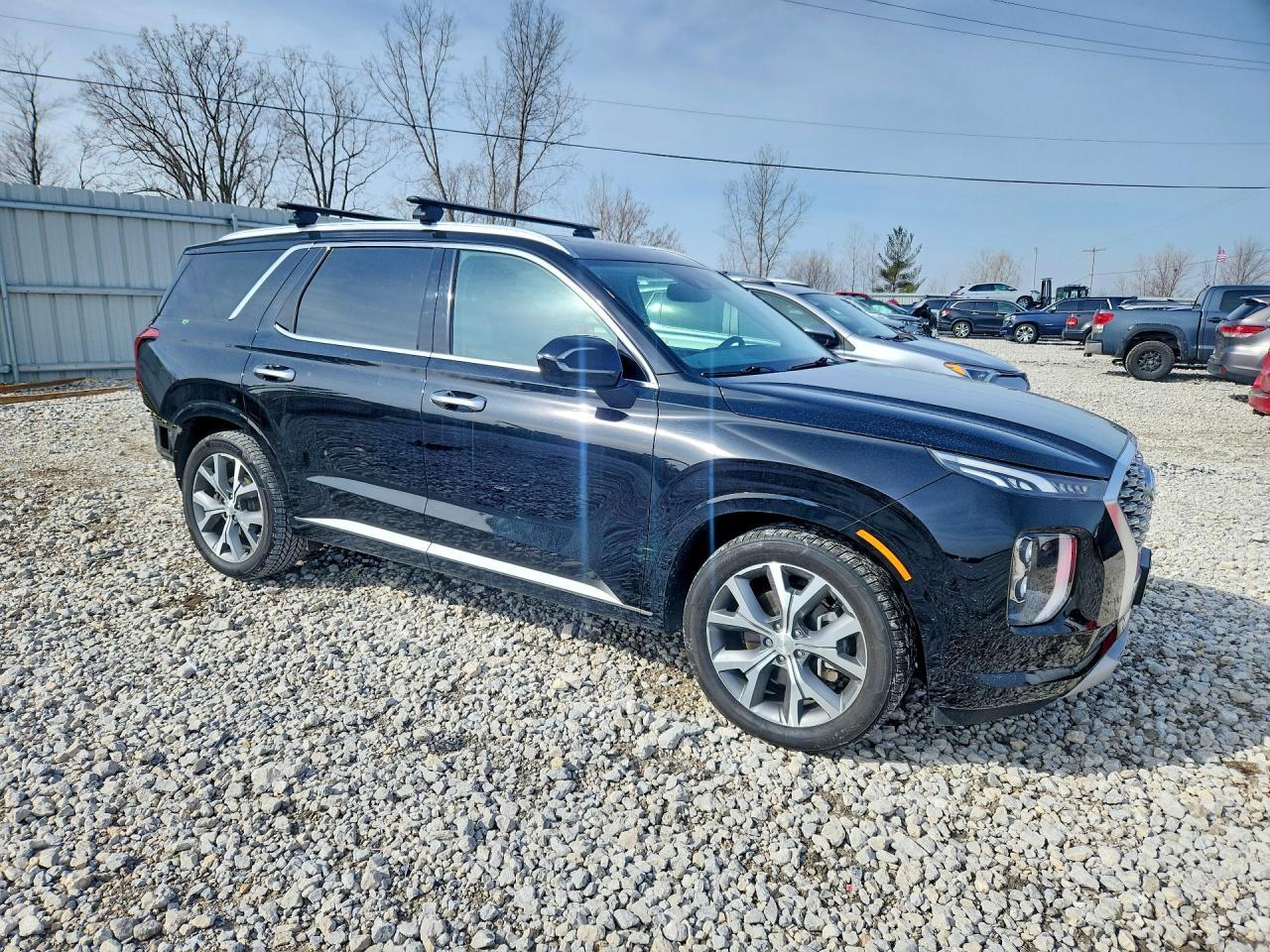 2022 Hyundai Palisade Limited - Фото 4