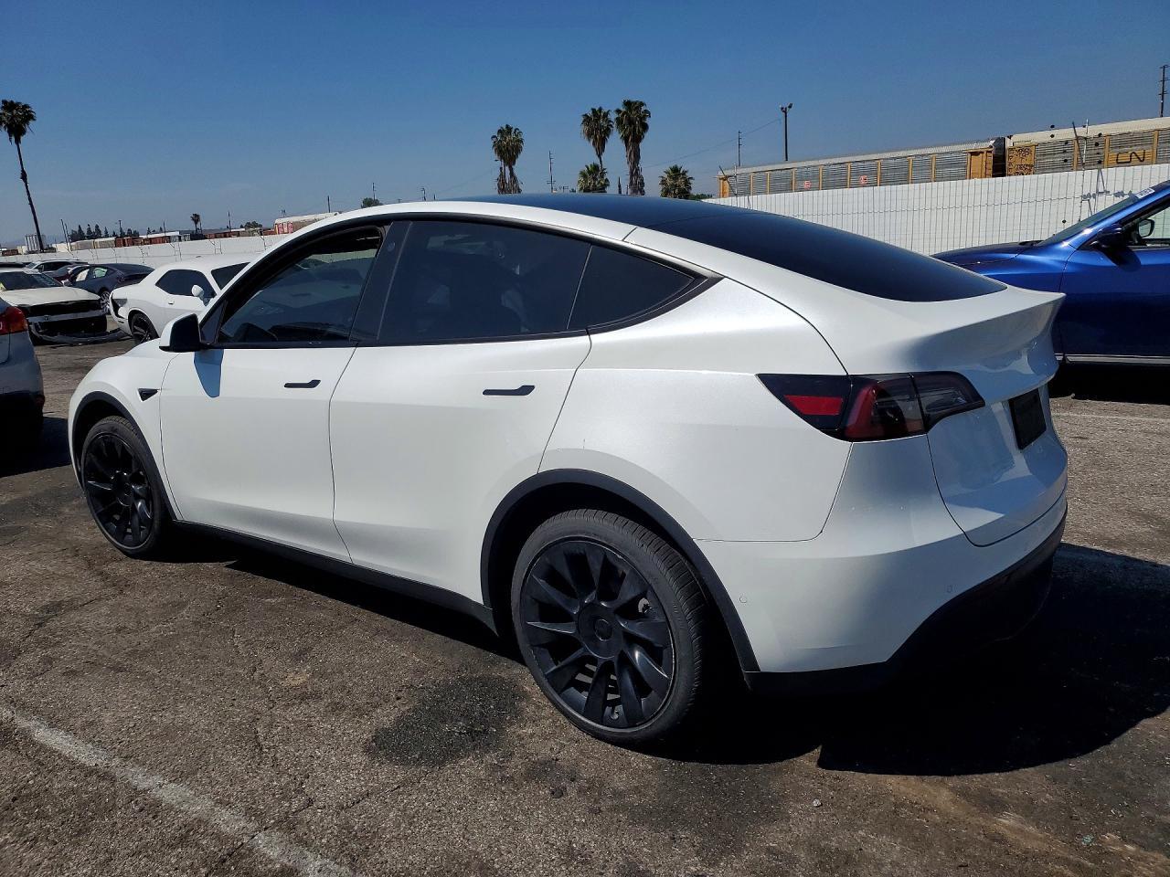 2022 Tesla Model Y - Фото 2