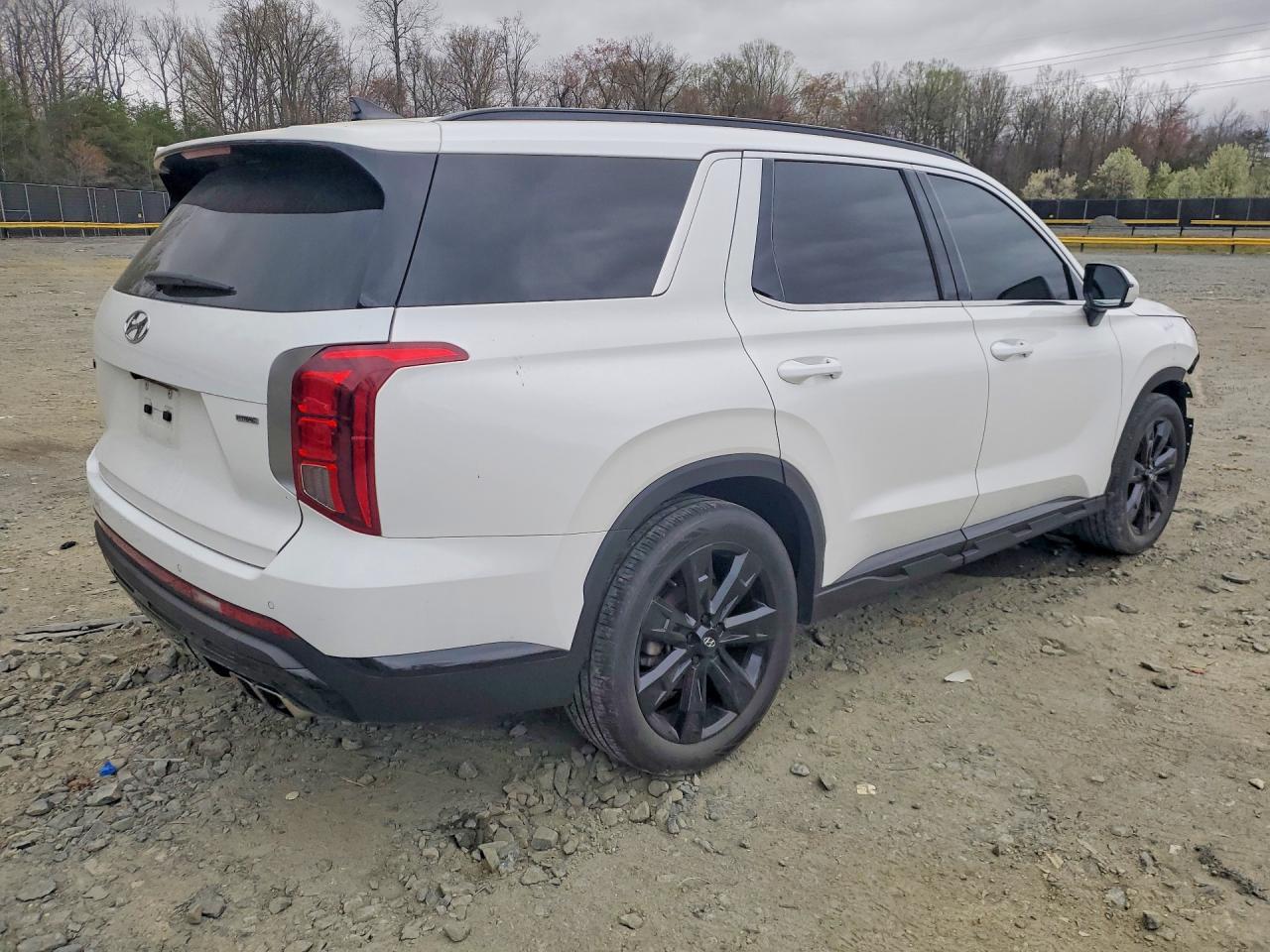 2023 Hyundai Palisade Xrt - Image 3