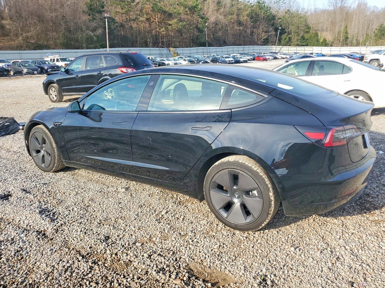 2021 Tesla Model 3 - Фото 2