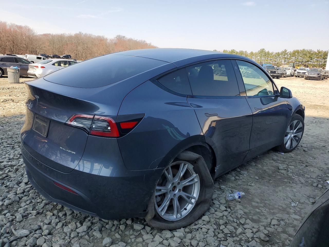 2023 Tesla Model Y - Фото 3