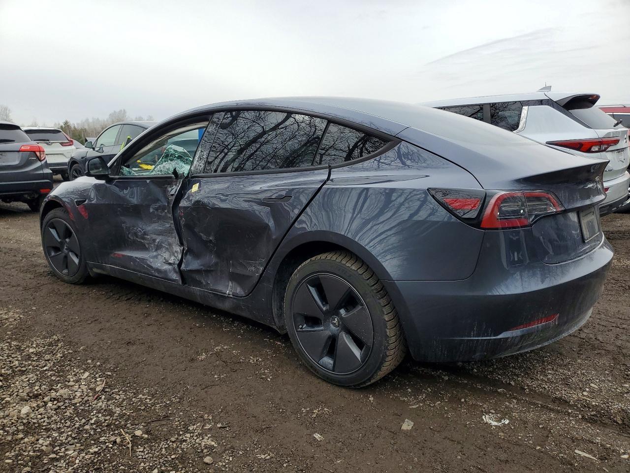 2023 Tesla Model 3 - Фото 2