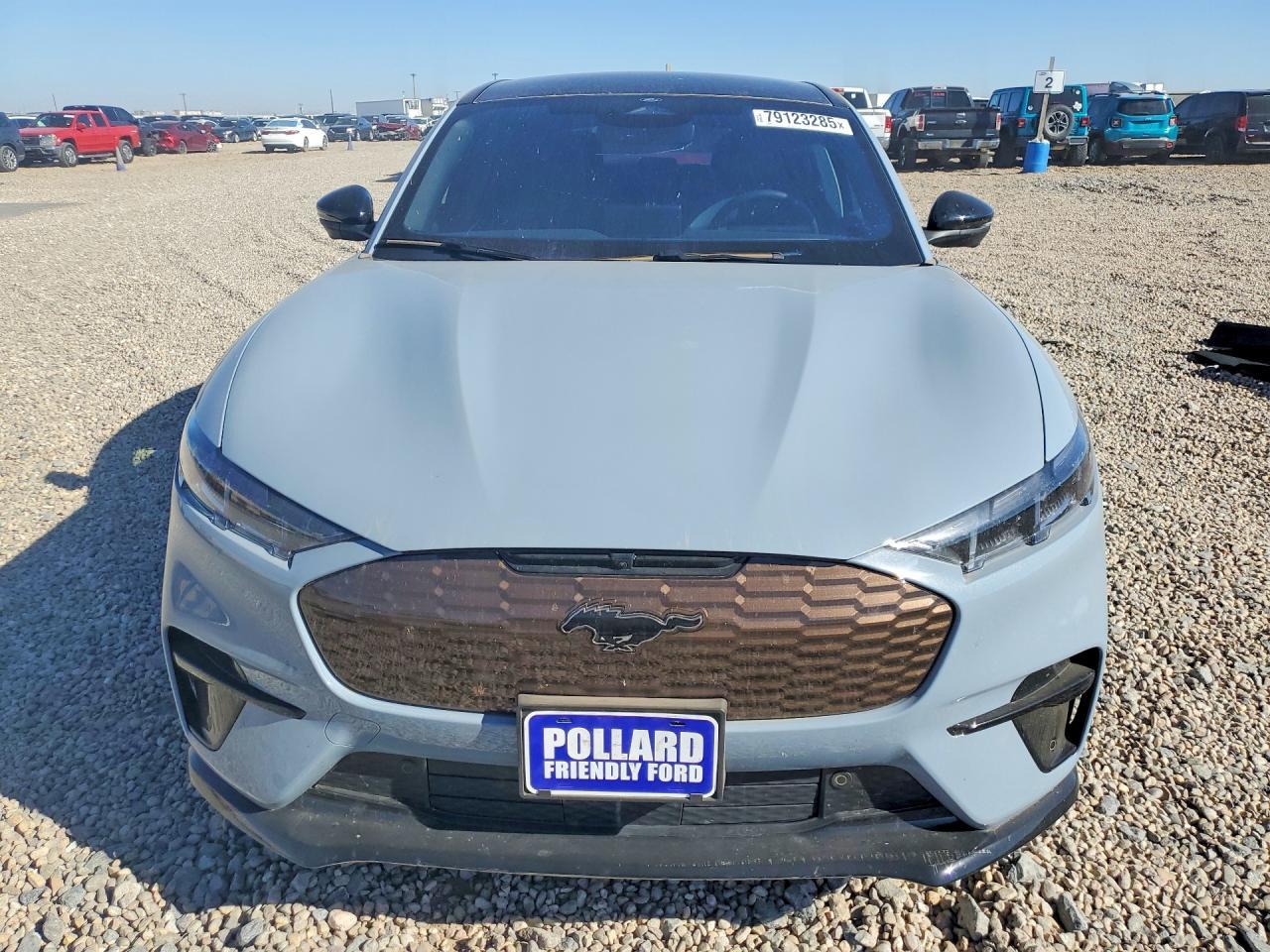 2025 Ford Mustang Mach-E Gt - Фото 5