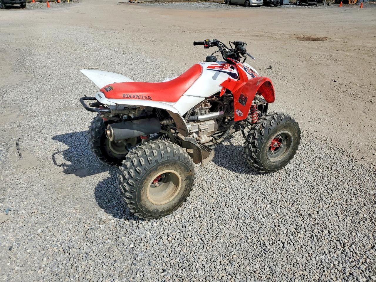 2024 Honda Trx250 X Atv - Фото 4