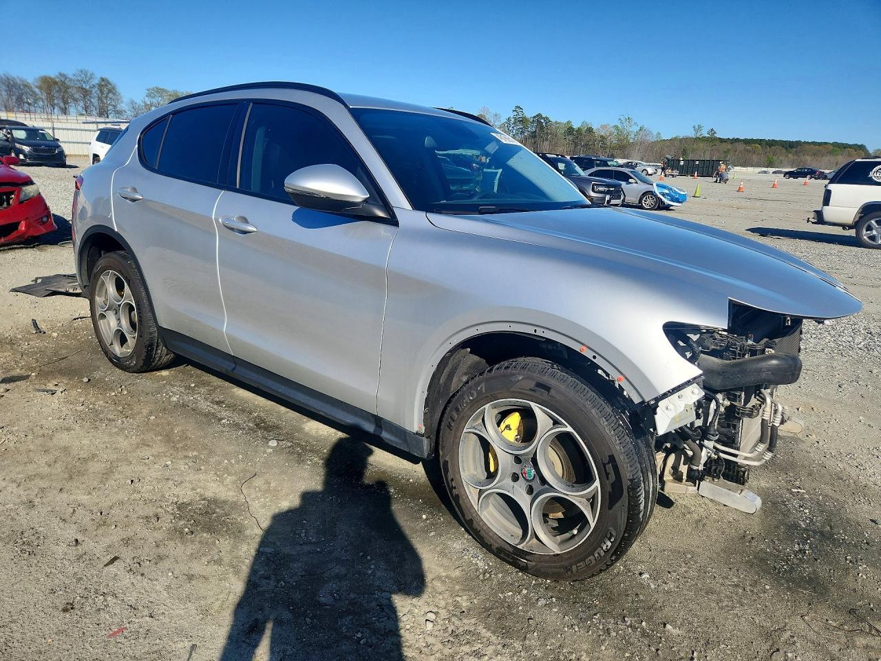 2018 Alfa Romeo Stelvio Sport - Фото 4