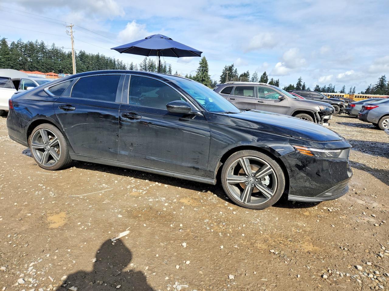 2025 Honda Accord Hybrid Sport - Image 4