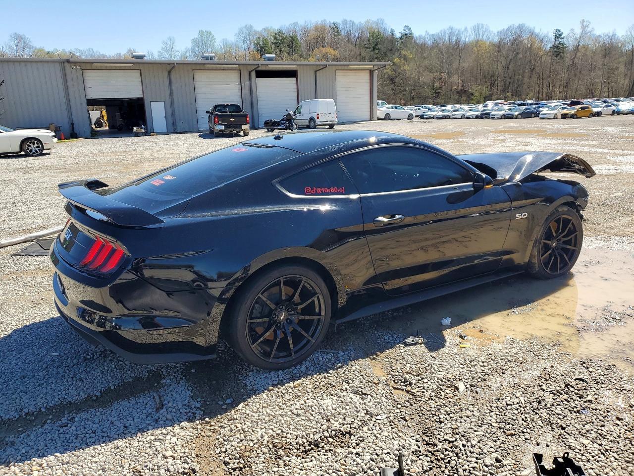 2019 Ford Mustang Gt - Фото 3