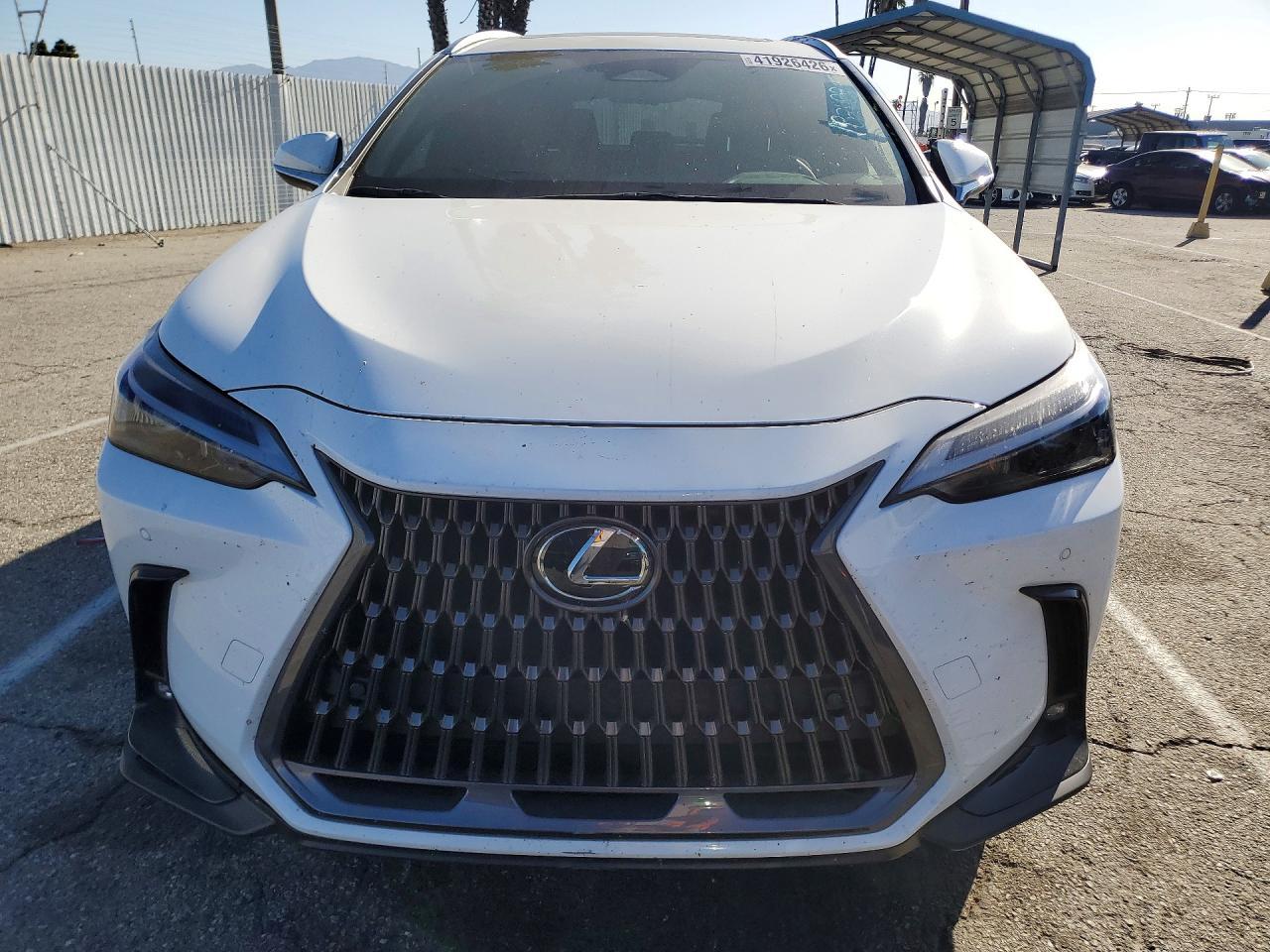 2026 Lexus Nx 350 Premium - Фото 5