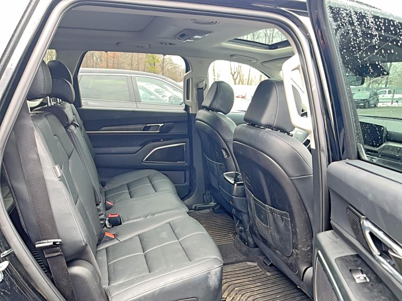 2025 Kia Telluride Sx - Image 6