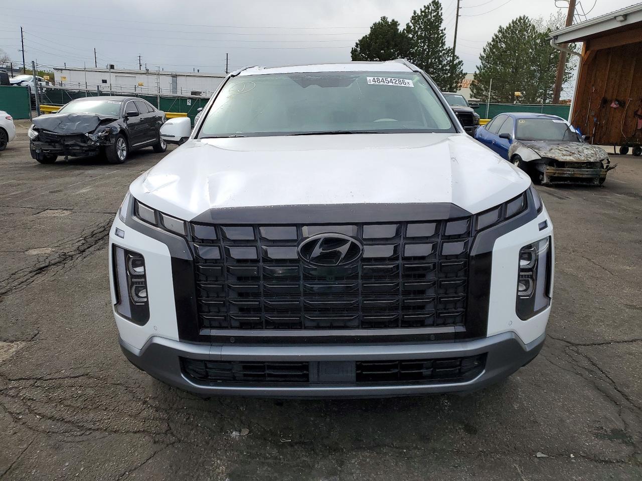 2024 Hyundai Palisade Limited - Фото 5