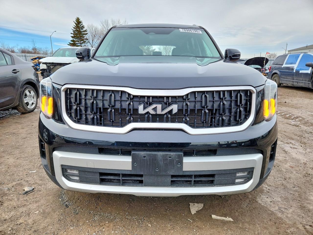 2024 Kia Telluride Ex - Фото 5