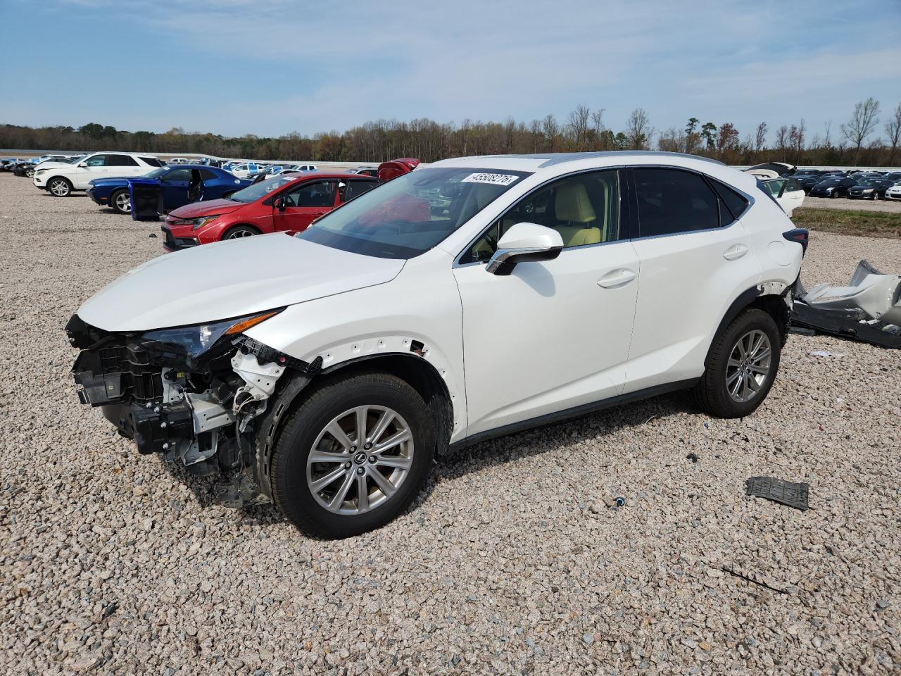 2020 Lexus Nx300