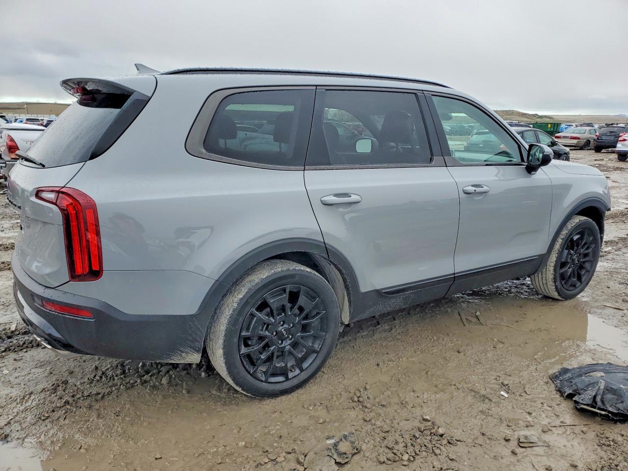 2022 Kia Telluride Ex - Фото 3