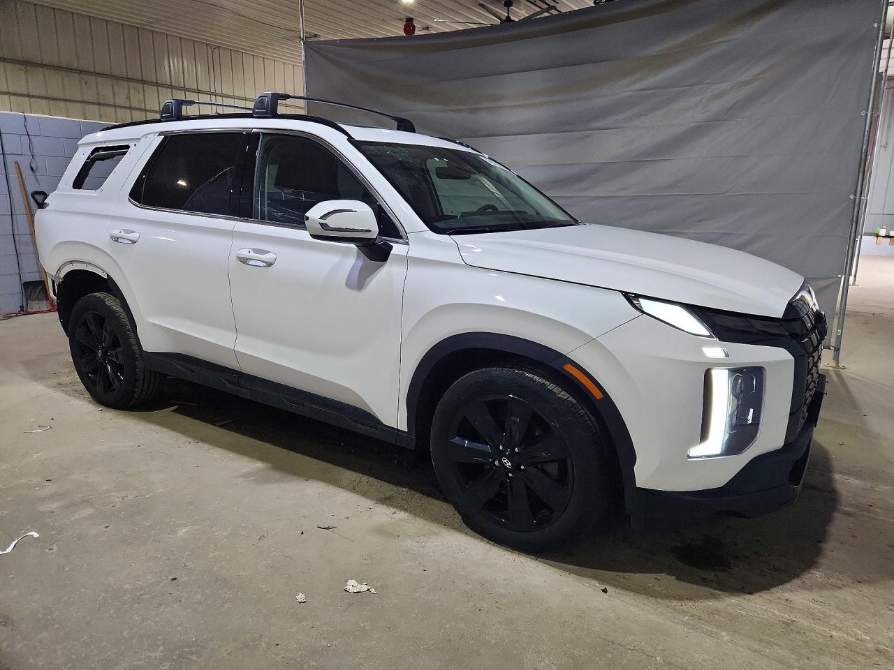 2024 Hyundai Palisade Xrt - Фото 4