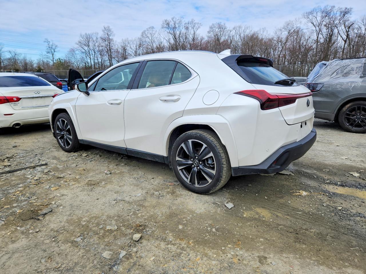 2024 Lexus Ux 250H Premium - Фото 2
