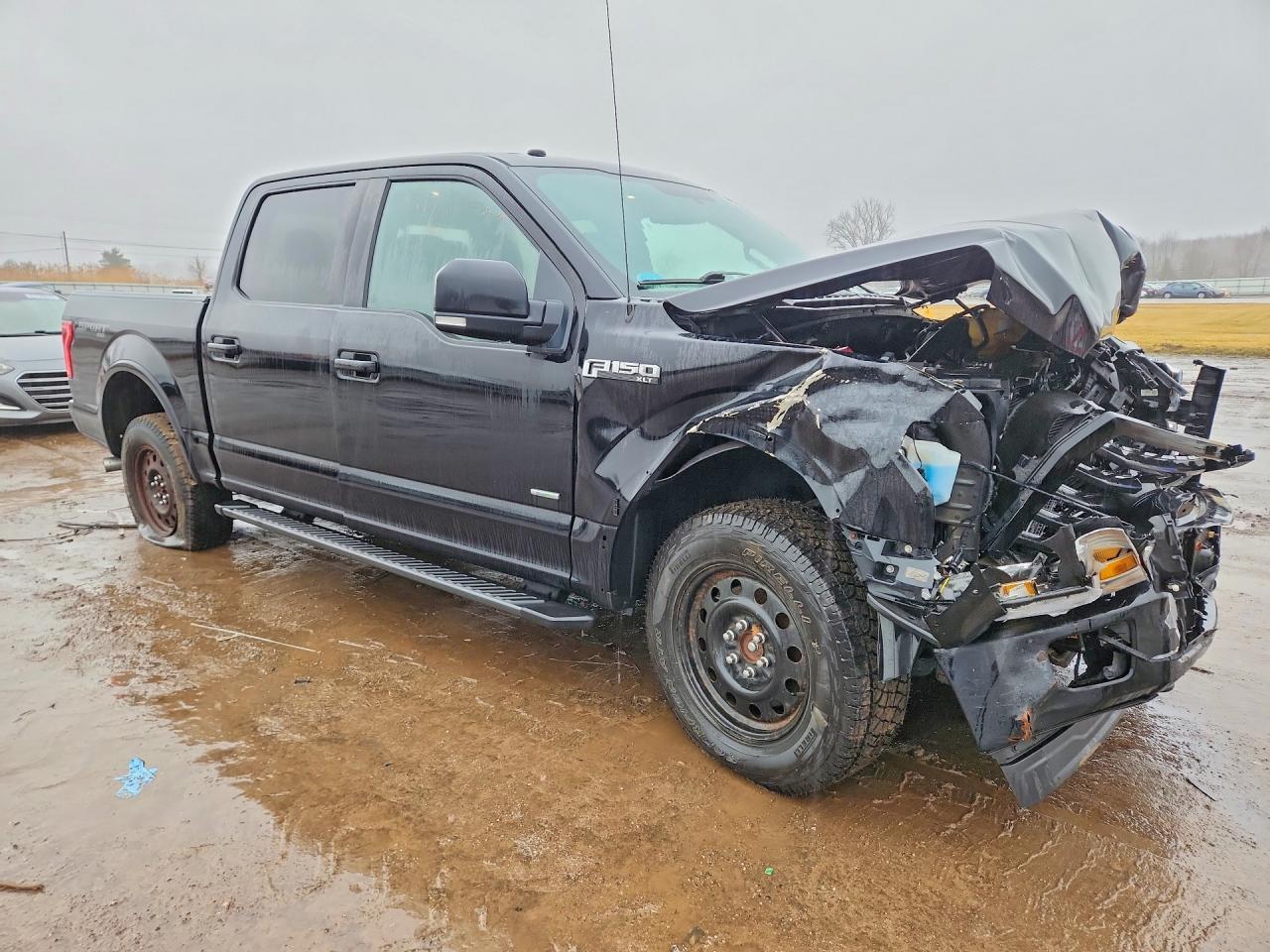 2017 Ford F150 Supercrew - Фото 4
