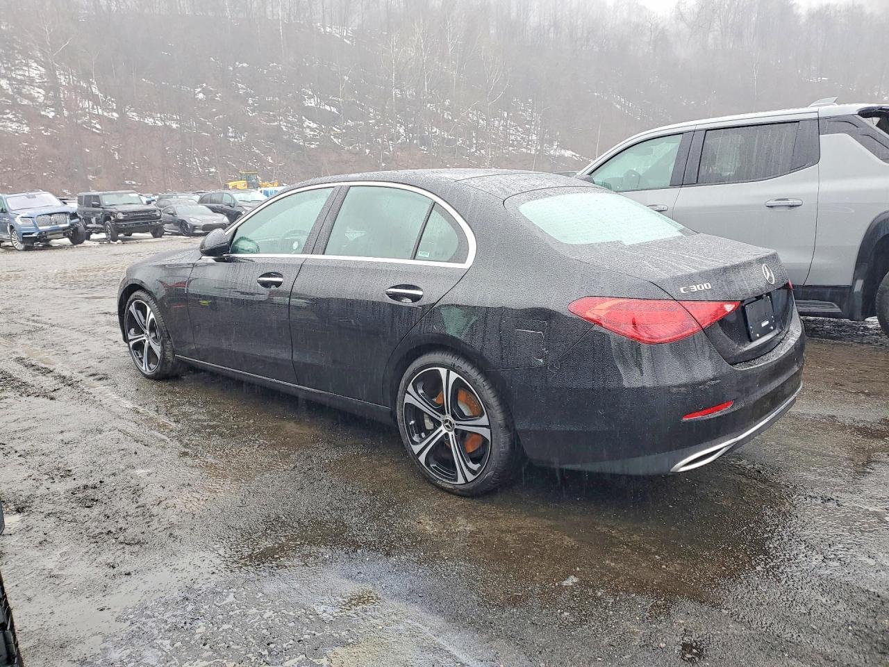 2025 Mercedes-Benz C 300 - Фото 2