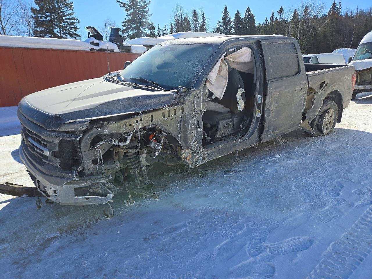 2024 Ford F150 Xlt