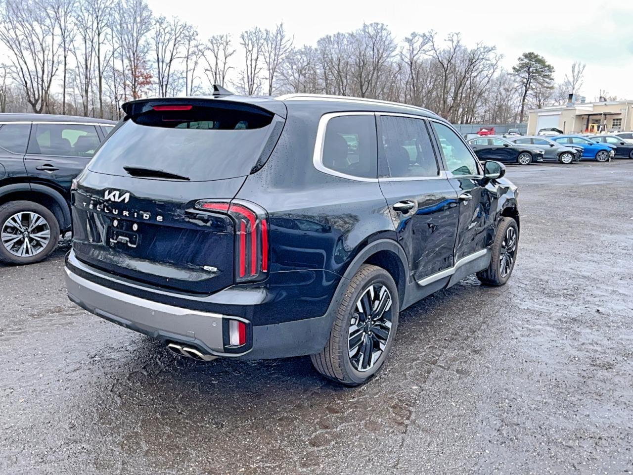 2025 Kia Telluride Sx - Image 4