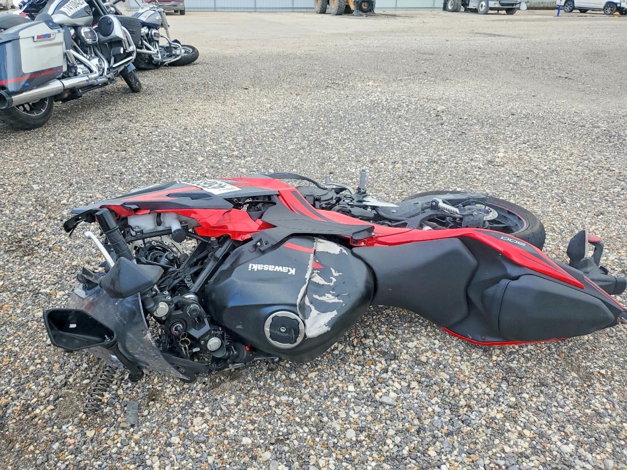 2025 Kawasaki Ex500 - Image 3