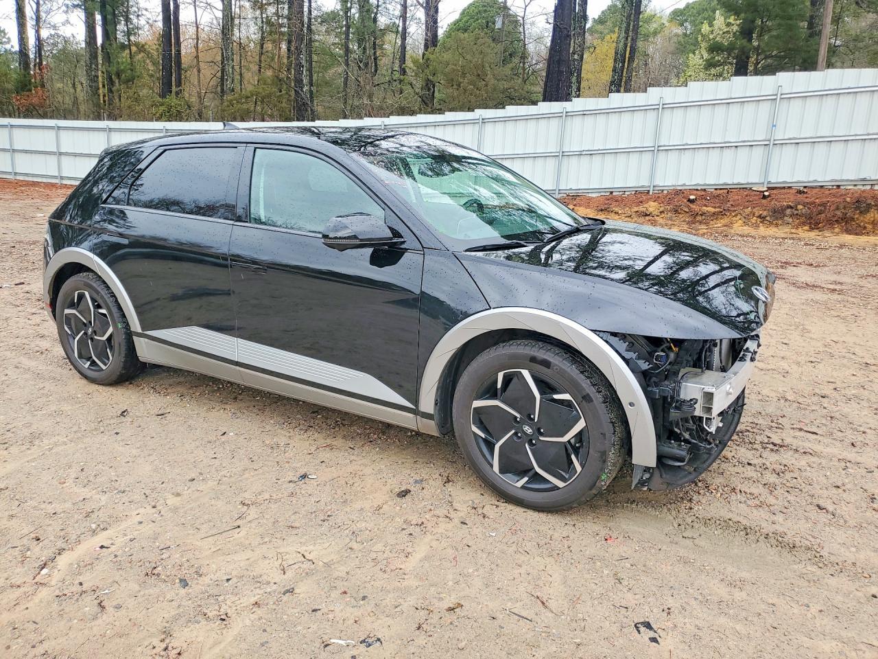 2023 Hyundai Ioniq 5 Limited - Фото 4