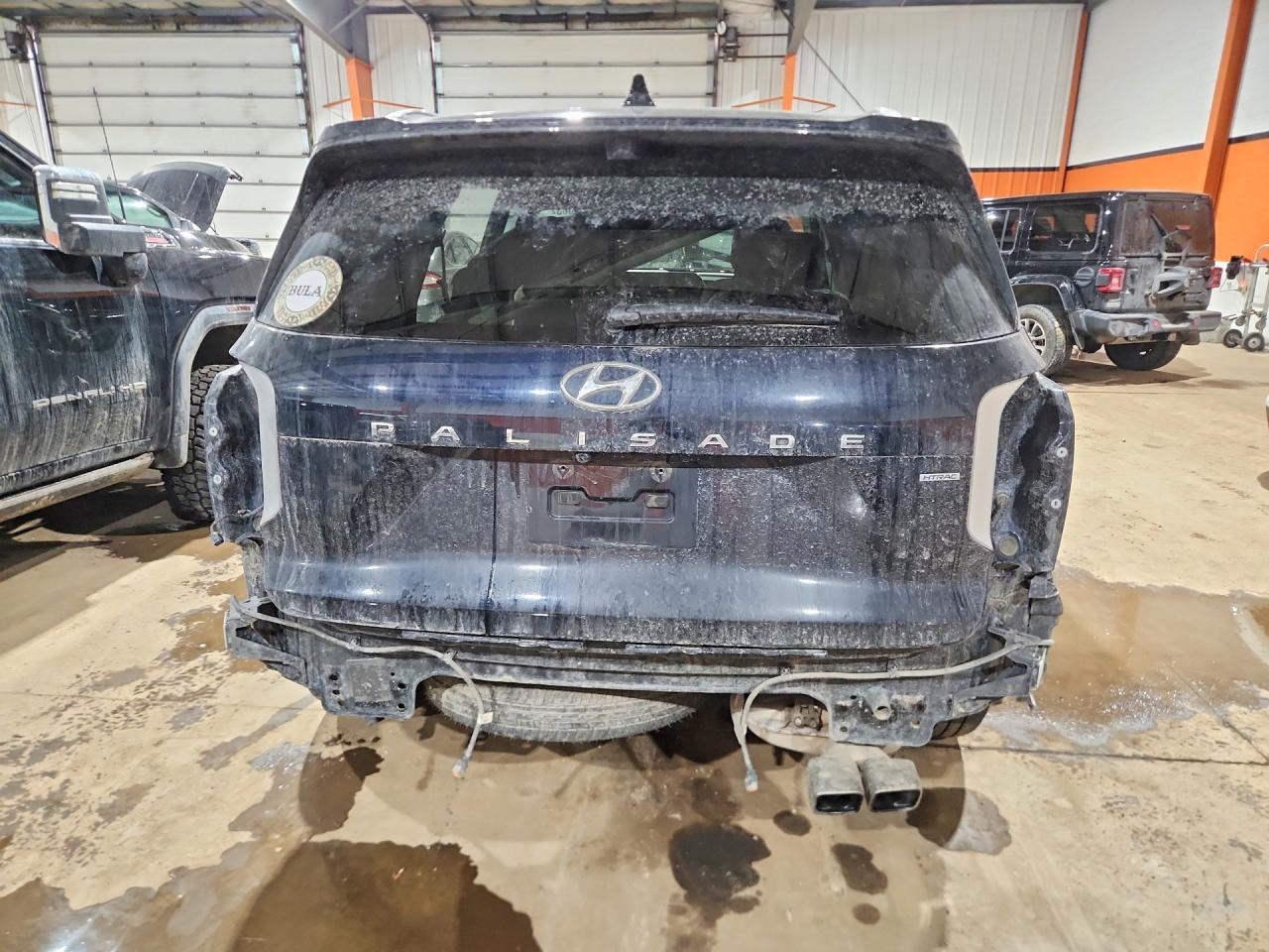 2023 Hyundai Palisade Limited - Image 6