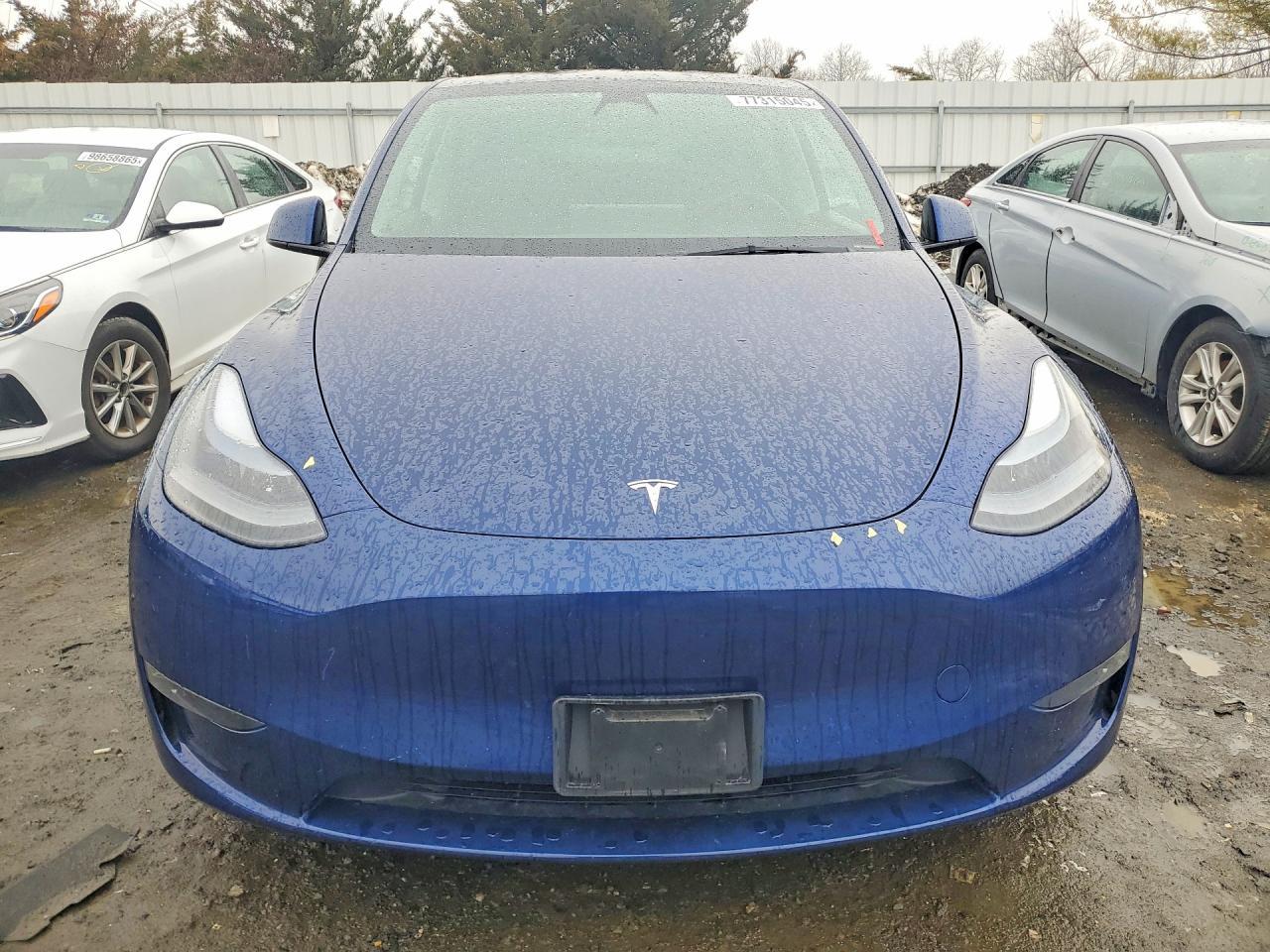 2023 Tesla Model Y - Image 5