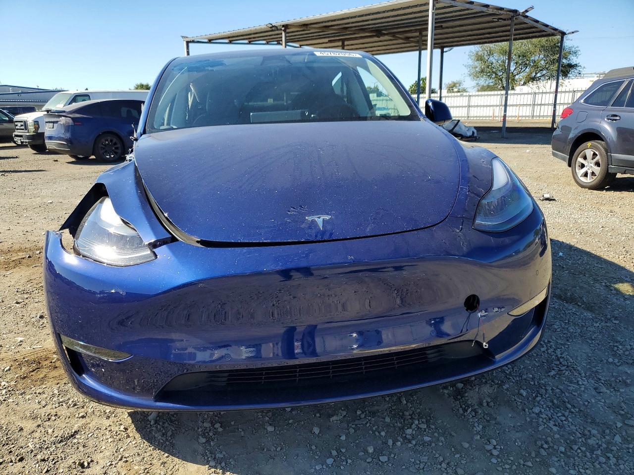 2021 Tesla Model Y - Фото 5
