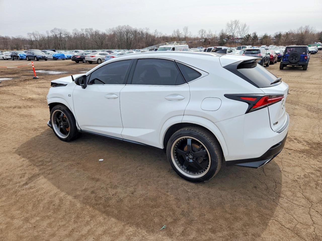 2020 Lexs Nx300 - Фото 2
